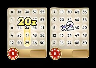 Cartes Bingo Chance avec multiplicateurs du jeu Big Baller